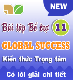 Global success Tiếng Anh 11 (2027)